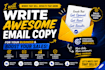 write high converting email copy with consultation for email marketing campaign