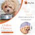 use canva to create any kind of design