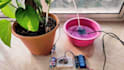 do quickly arduino coding and simulation projects