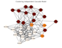 do your custom networkx scripts and network science tasks
