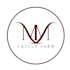 design a logo and business cards
