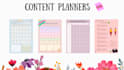 create expert design using canva