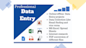 do accurate data entry, fast typing, scan to word excel, copy paste