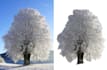 do quality background removal with perfect edges