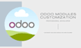do odoo modules development and customization