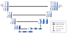 do object detection, segmentation, tracking, classification