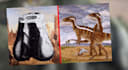 research and write about paleontology