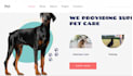 elevate your business with a stunning shopify store