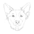 draw awesome line art illustration for your dog, cat, etc in 5 hours