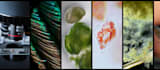 create professional microscopy videos in HD or 4k
