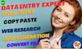do proper data entry copy paste web research and convert file expert