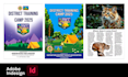 do professional flyers, posters and banners for your business