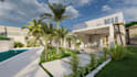 design landscape, backyard, patio, garden, and frontyard