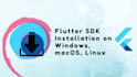 install flutter sdk, on your macbook, windows remotley