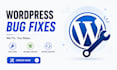 fix wordpress errors including themes, plugins and css