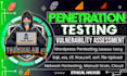 penetration testing ,vulnerability assessment, website security