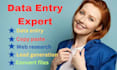 do professional data entry expert