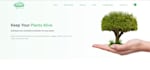 teach you web development HTML, CSS, js, PHP laravel online sessions