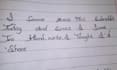 handwrite anything in a excellent cursive writing