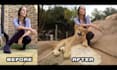 do photo composition adding removing background retouching