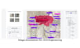 provide image annotation, data annotation and data labeling