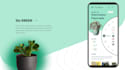 develop ios and android mobile app using flutter