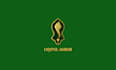 design a name logo using arabic calligraphy