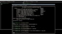 create customized shell bash scripts to automate tasks and enhance efficiency