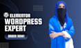 do wordpress website development and website design