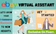 be your ebay virtual assistant for dropshipping and pl