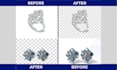 do professional photoshop background remove services