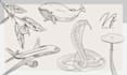 create sketch illustration fully hand drawn
