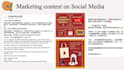 write professional chinese copywriting, script, SEO articles