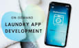 develop a laundry app, dry cleaning app, on demand delivery app