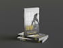 do book formatting for amazon kdp book publishing book design and layout design