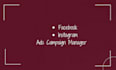 be your facebook and instagram ads campaign manager