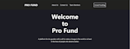 do blockchain based crowdfunding website