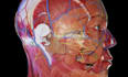 do 3d medical animation 3d medical video surgery animation scientific animation