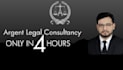 draft professional legal documents