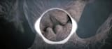 make viral 8d surround music with stunning audio visualizer