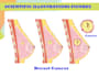 make scientific figures, illustration and graphical abstracts diagram