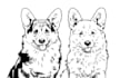 turn your pet photo into a beautiful line art drawing