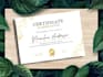 create custom certificate design, diploma and award certificate design