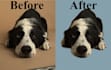 professionally remove background, hair masking