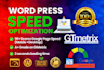 speed optimize wordpress website