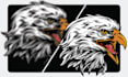 manual vector tracing, vectorize, redraw, illustrator work