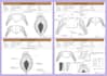 create professional fashion tech pack designs for production