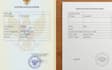 do professional english to bahasa indonesia and bahasa indonesia to english
