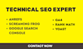 fix 404 errors, broken links, redirects and canonical issues