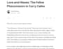 write articles for blogs, websites, magazines, editorials